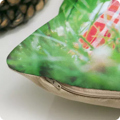 Rembourrage Amovible